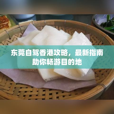 東莞自駕香港攻略，最新指南助你暢游目的地