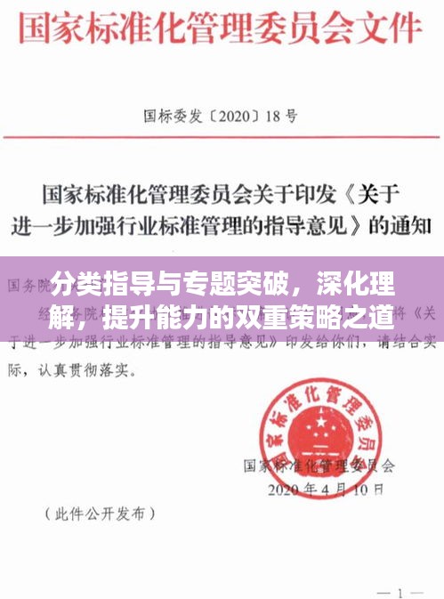 分類(lèi)指導(dǎo)與專(zhuān)題突破，深化理解，提升能力的雙重策略之道