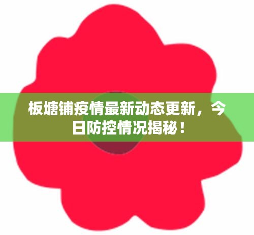 板塘鋪疫情最新動(dòng)態(tài)更新，今日防控情況揭秘！