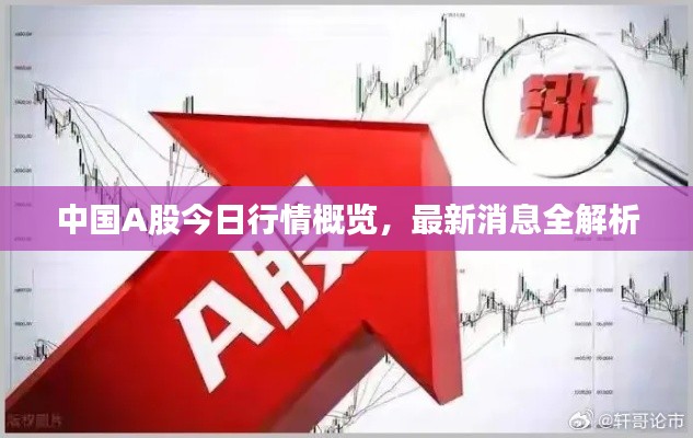 中國A股今日行情概覽，最新消息全解析