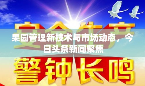 果園管理新技術(shù)與市場動(dòng)態(tài)，今日頭條新聞聚焦