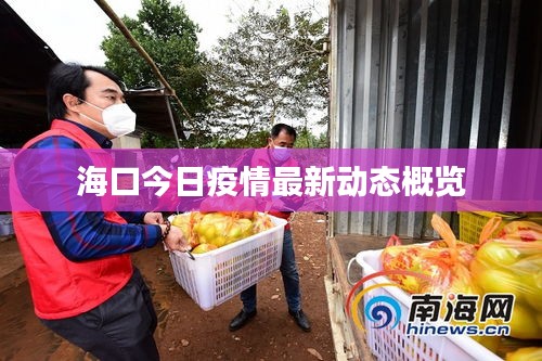 ?？诮袢找咔樽钚聞?dòng)態(tài)概覽