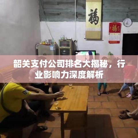 韶關支付公司排名大揭秘，行業(yè)影響力深度解析