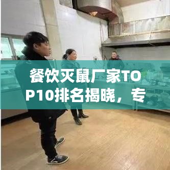 餐飲滅鼠廠家TOP10排名揭曉，專業(yè)守護(hù)餐飲安全，值得信賴的選擇！