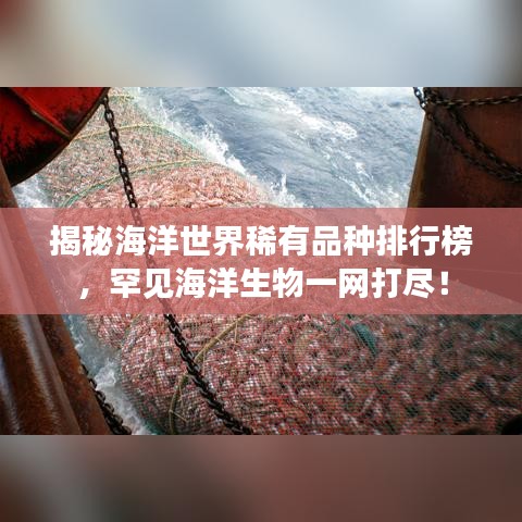 揭秘海洋世界稀有品種排行榜，罕見海洋生物一網(wǎng)打盡！