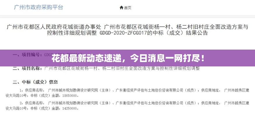 花都最新動態(tài)速遞，今日消息一網(wǎng)打盡！