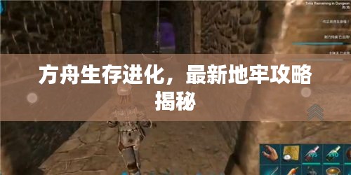 方舟生存進(jìn)化，最新地牢攻略揭秘