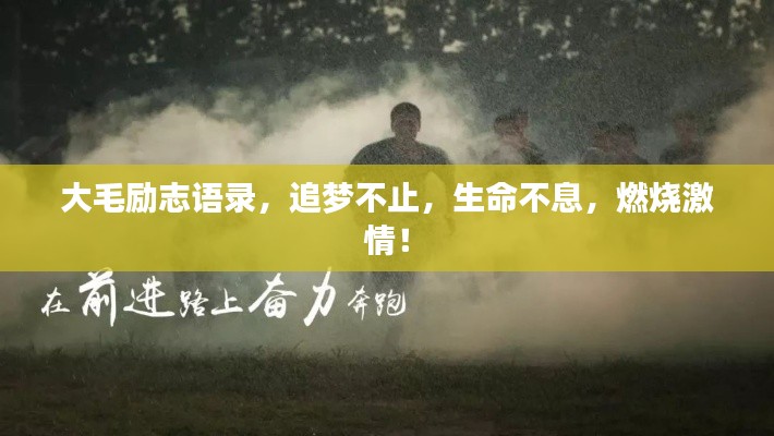大毛勵(lì)志語錄，追夢(mèng)不止，生命不息，燃燒激情！