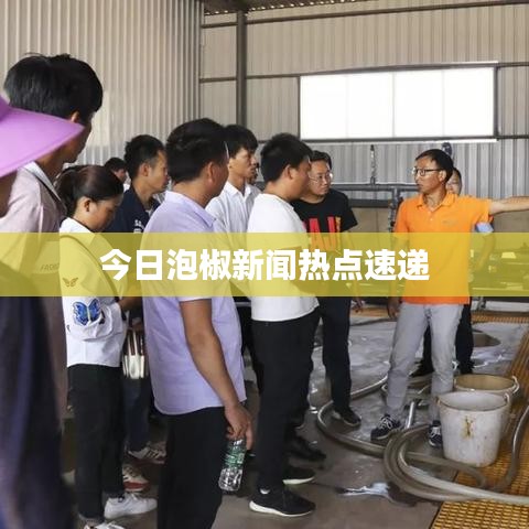 今日泡椒新聞熱點(diǎn)速遞