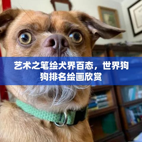 藝術(shù)之筆繪犬界百態(tài)，世界狗狗排名繪畫欣賞