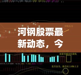 2025年2月 第211頁(yè)