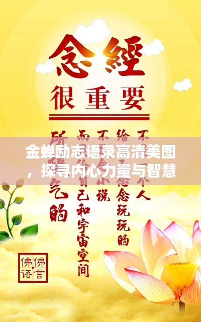 金蟬勵(lì)志語(yǔ)錄高清美圖，探尋內(nèi)心力量與智慧，激發(fā)無(wú)限潛能！