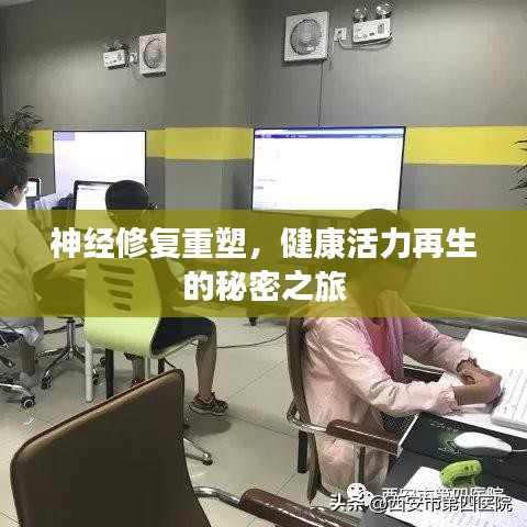 神經(jīng)修復(fù)重塑，健康活力再生的秘密之旅