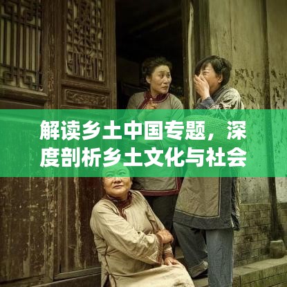 解讀鄉(xiāng)土中國(guó)專題，深度剖析鄉(xiāng)土文化與社會(huì)根源