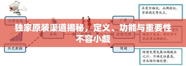 獨(dú)家原裝渠道揭秘，定義、功能與重要性不容小覷