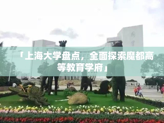 「上海大學(xué)盤點(diǎn)，全面探索魔都高等教育學(xué)府」