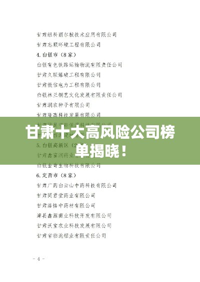 甘肅十大高風險公司榜單揭曉！