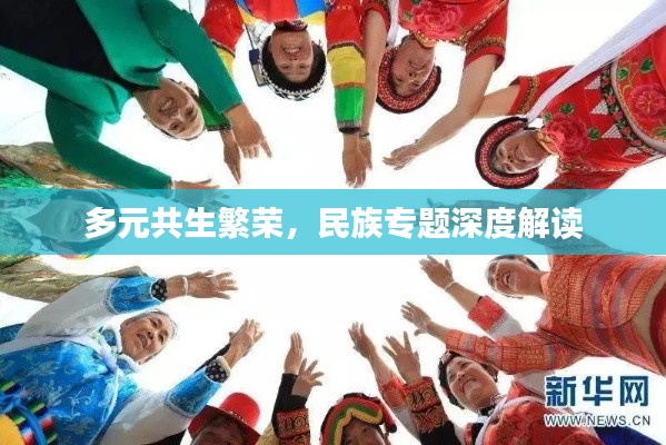 多元共生繁榮，民族專題深度解讀
