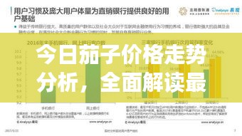 今日茄子價格走勢分析，全面解讀最新行情