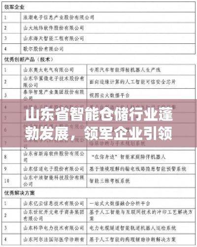 山東省智能倉(cāng)儲(chǔ)行業(yè)蓬勃發(fā)展，領(lǐng)軍企業(yè)引領(lǐng)潮流榜單揭曉！