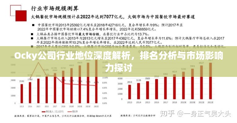 Ocky公司行業(yè)地位深度解析，排名分析與市場影響力探討