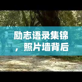 勵志語錄集錦，照片墻背后的力量