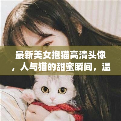 最新美女抱貓高清頭像，人與貓的甜蜜瞬間，溫馨畫面不容錯過