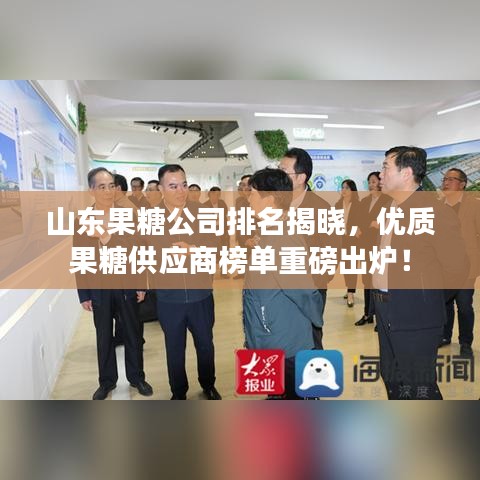 山東果糖公司排名揭曉，優(yōu)質(zhì)果糖供應(yīng)商榜單重磅出爐！