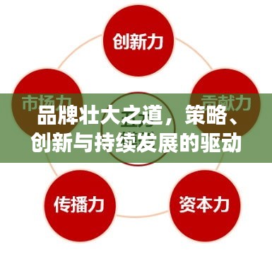 品牌壯大之道，策略、創(chuàng)新與持續(xù)發(fā)展的驅(qū)動力