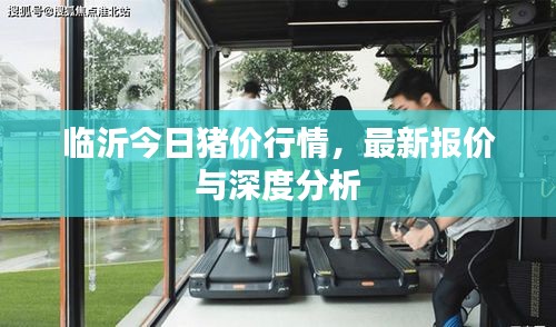 真獨(dú)簡貴 第2頁