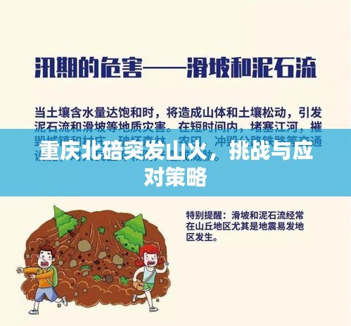 重慶北碚突發(fā)山火，挑戰(zhàn)與應(yīng)對(duì)策略