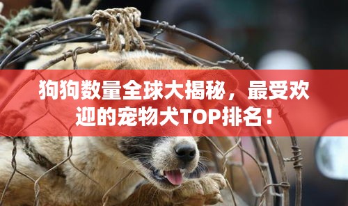 狗狗數(shù)量全球大揭秘，最受歡迎的寵物犬TOP排名！