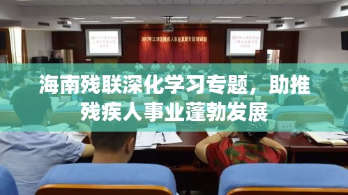 海南殘聯(lián)深化學(xué)習(xí)專(zhuān)題，助推殘疾人事業(yè)蓬勃發(fā)展