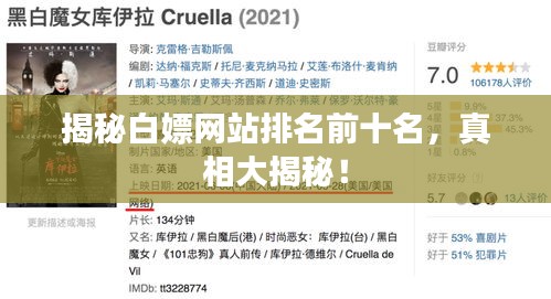 揭秘白嫖網(wǎng)站排名前十名，真相大揭秘！