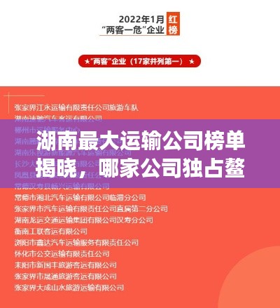 湖南最大運輸公司榜單揭曉，哪家公司獨占鰲頭？