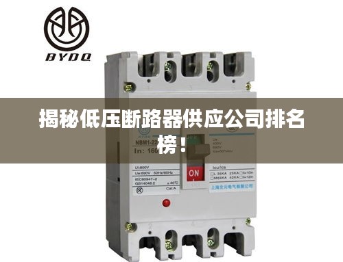 揭秘低壓斷路器供應(yīng)公司排名榜！