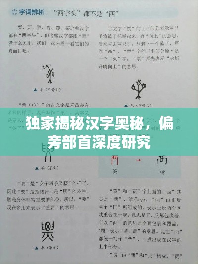 獨家揭秘漢字奧秘，偏旁部首深度研究