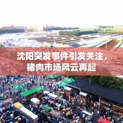 沈陽突發(fā)事件引發(fā)關(guān)注，豬肉市場風(fēng)云再起