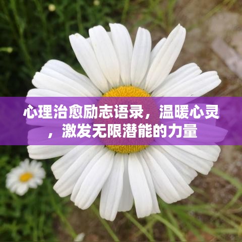 心理治愈勵志語錄，溫暖心靈，激發(fā)無限潛能的力量