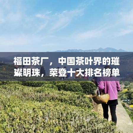 福田茶廠，中國茶葉界的璀璨明珠，榮登十大排名榜單