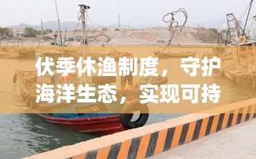 伏季休漁制度，守護海洋生態(tài)，實現(xiàn)可持續(xù)發(fā)展之路