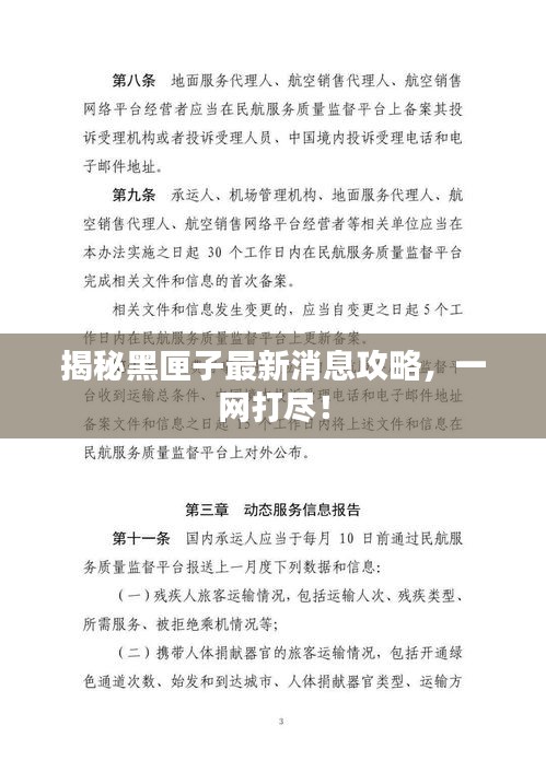 揭秘黑匣子最新消息攻略，一網(wǎng)打盡！
