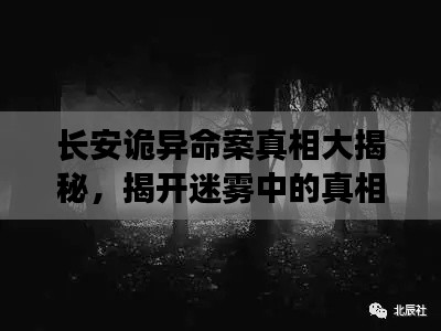長(zhǎng)安詭異命案真相大揭秘，揭開迷霧中的真相！