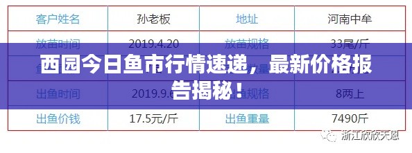 龍馬精神 第2頁(yè)