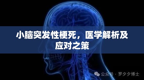 小腦突發(fā)性梗死，醫(yī)學(xué)解析及應(yīng)對(duì)之策