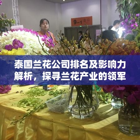 泰國蘭花公司排名及影響力解析，探尋蘭花產(chǎn)業(yè)的領(lǐng)軍者