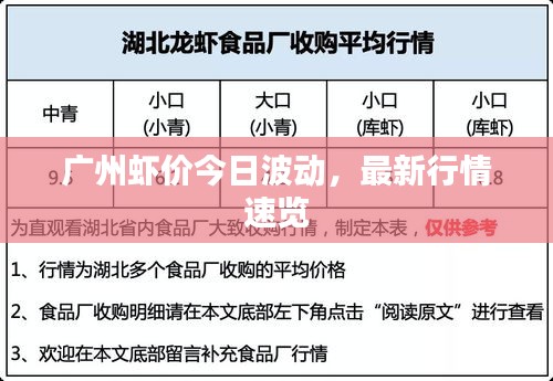 廣州蝦價(jià)今日波動，最新行情速覽