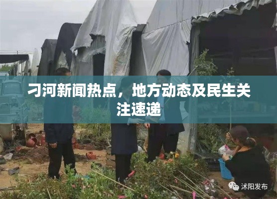 刁河新聞熱點，地方動態(tài)及民生關(guān)注速遞