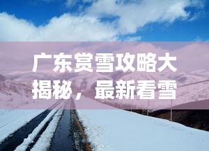 廣東賞雪攻略大揭秘，最新看雪好去處