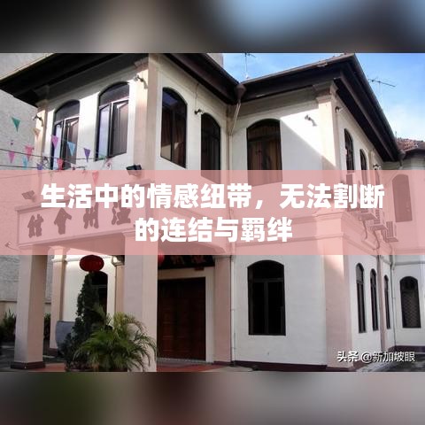 生活中的情感紐帶，無法割斷的連結(jié)與羈絆
